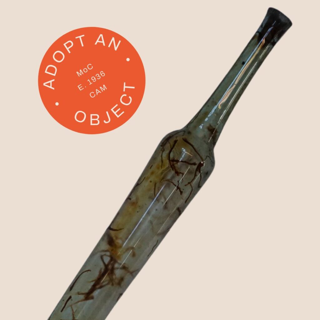 Adopt an object: £5 Witch's Bottle